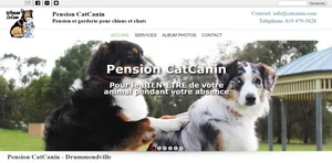 Pension pour chien - Pension CatCanin - Drummondville